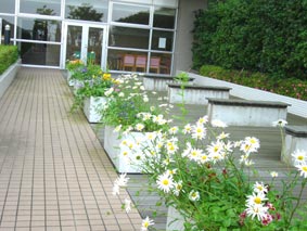 病室からベットのまま出られる庭園 病室からベットのまま出られる庭園