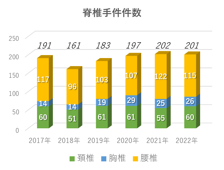 脊椎手術件数 2022syujyutsu 2