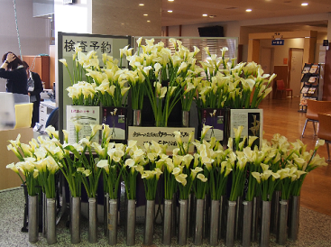 flower 2